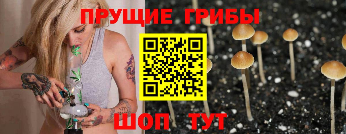 Галлюциногенные грибы GOLDEN TEACHER Брянск